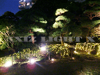 庭園ライトアップ工事＆庭園ライトアップ装飾・工事例２５【光の演出・庭園ライトアップ照明】